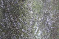 Knettishall fibreglass roof work